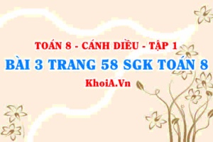 Bài 3 trang 58 SGK Toán 8 tập 1 Cánh Diều